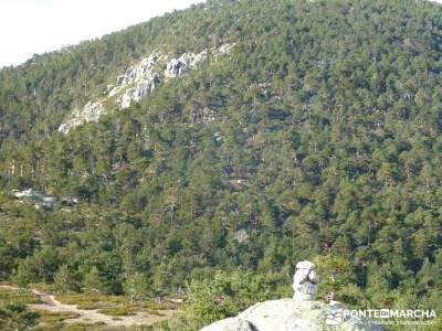 Siete Picos:Senda Herreros,Camino Schmid(Schmidt); actividad navidad;bosque de irati rutas